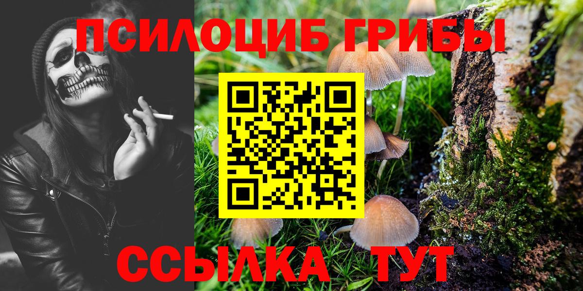 Галлюциногенные грибы Psilocybe Железноводск