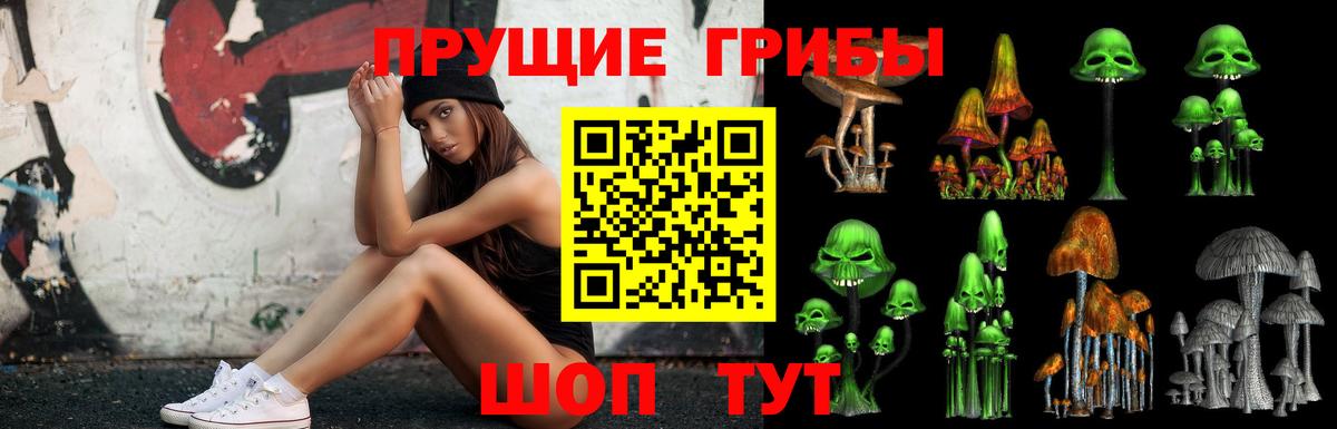 Галлюциногенные грибы Psilocybe  Галлюциногенные грибы Cubensis  Железноводск  Вход с VPN 